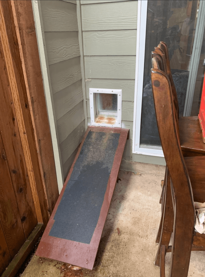 Automated Exterior Pet Access Door (Outside)_Handyman